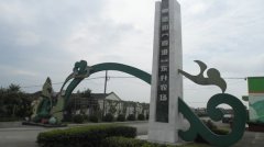 蔬菜種植培育基地一