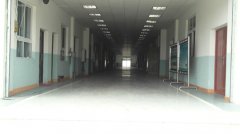 蔬菜種植培育基地六