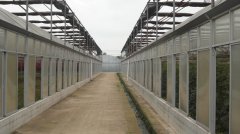 蔬菜種植培育基地十六