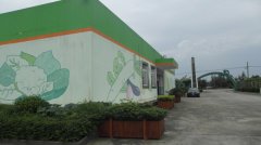 蔬菜種植培育基地十九