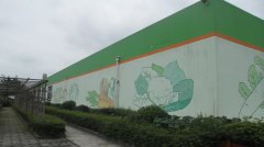 蔬菜種植培育基地二十