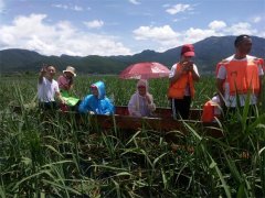 公司瀘沽湖之旅二十